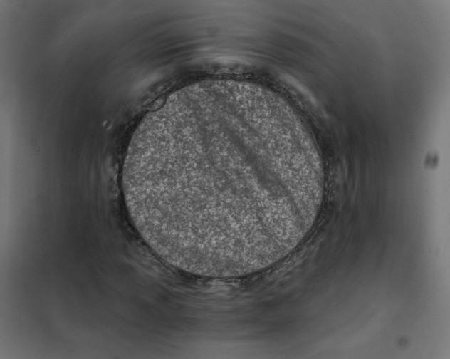 X0000101441013200808041209