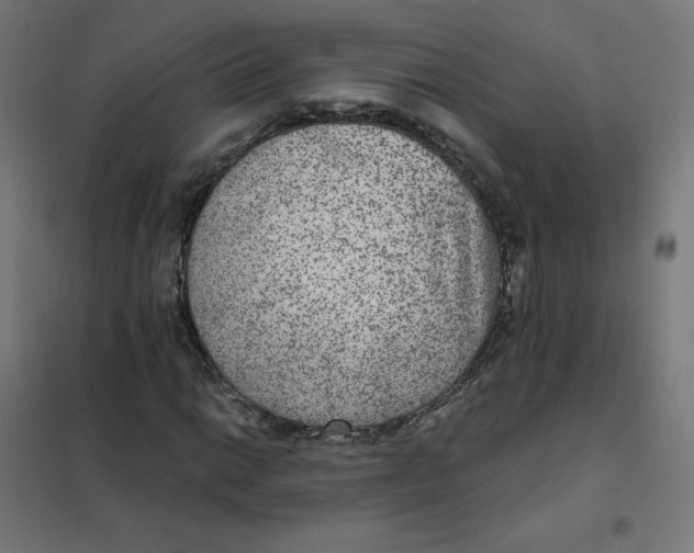 X0000101441014200808041209