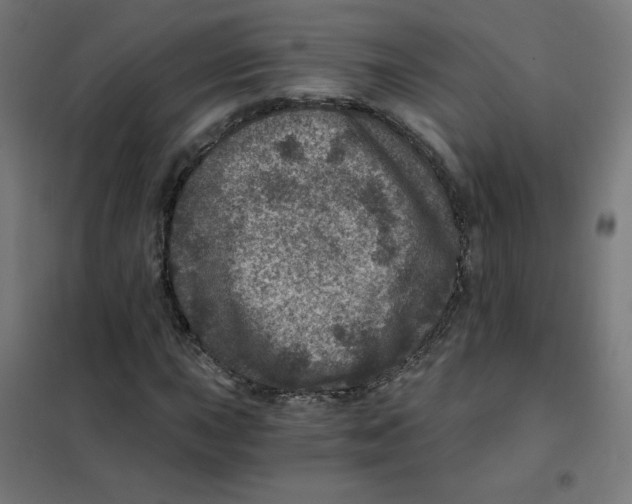 X0000101441015200808041209