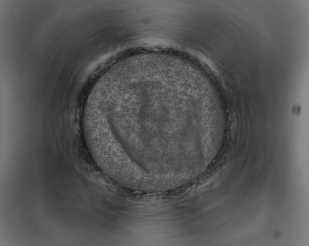 X0000101441016200808041209
