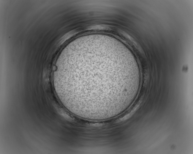 X0000101441017200808041209