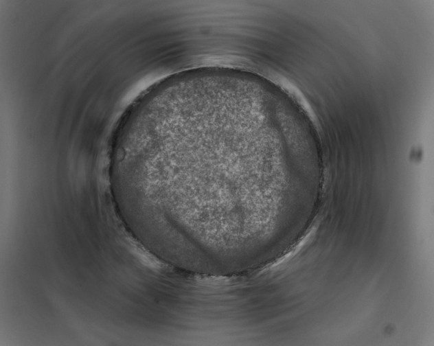 X0000101441019200808041209