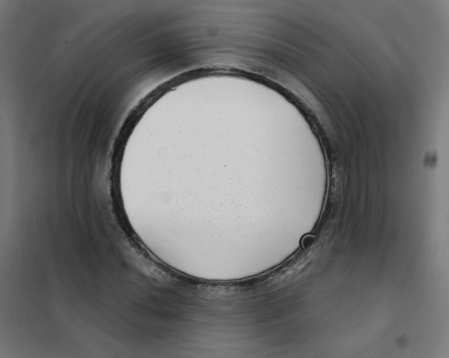 X0000101441020200808041209