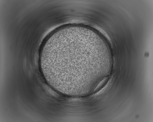 X0000101441021200808041209