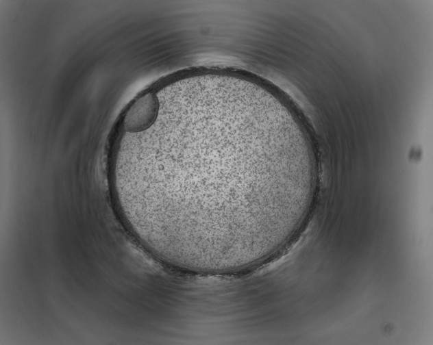 X0000101441022200808041209