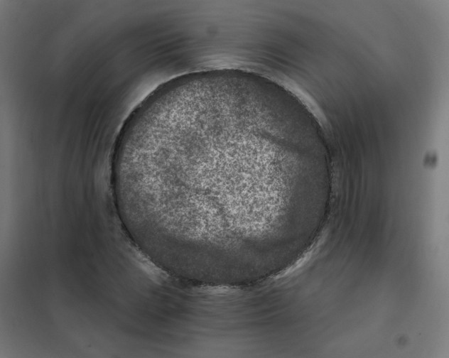 X0000101441023200808041209