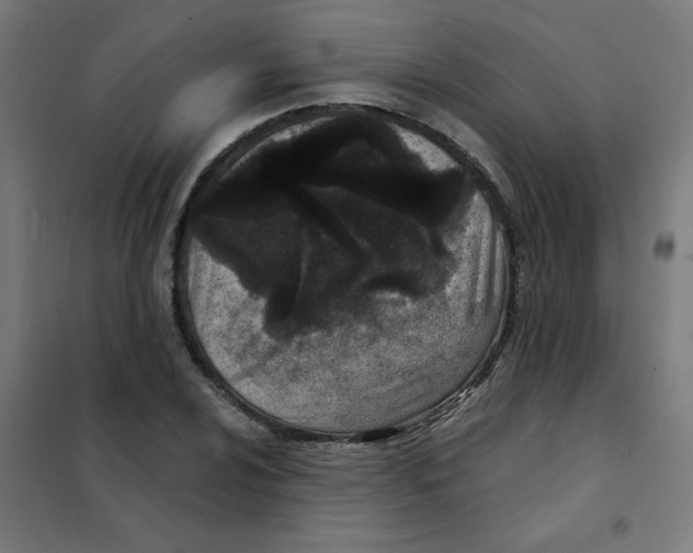 X0000101441024200808041209