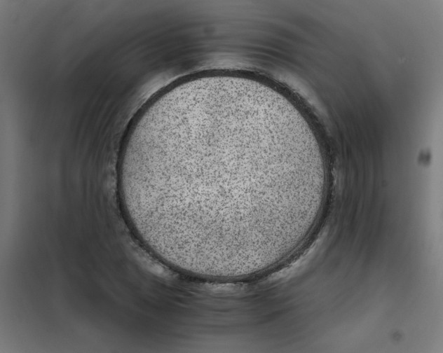 X0000101441025200808041209