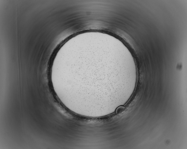 X0000101441026200808041210