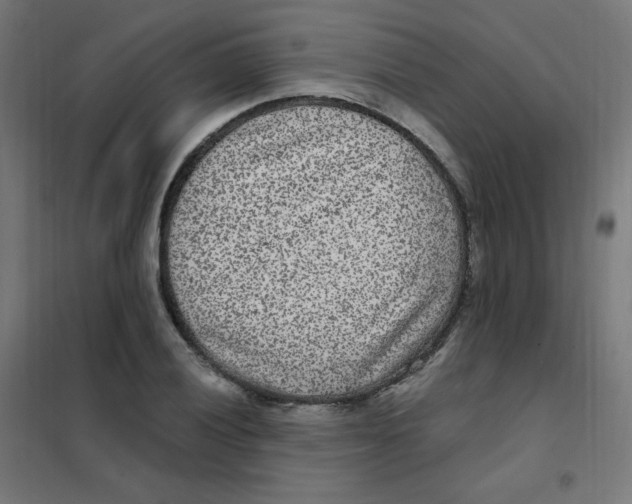 X0000101441028200808041210
