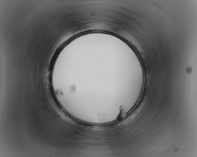 X0000101441029200808041210