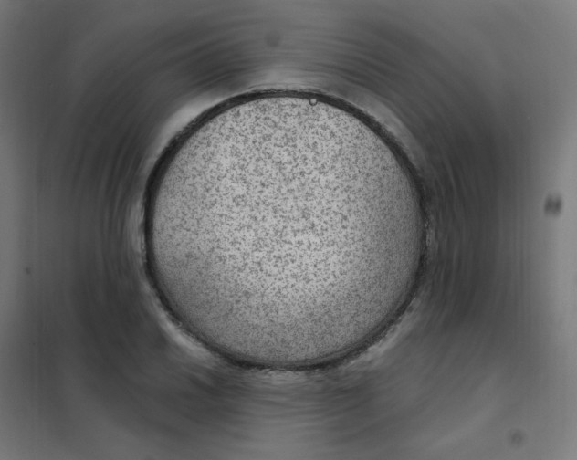 X0000101441030200808041210