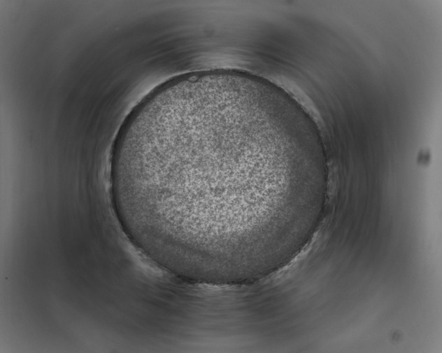 X0000101441031200808041210