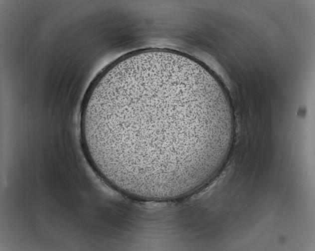 X0000101441032200808041210