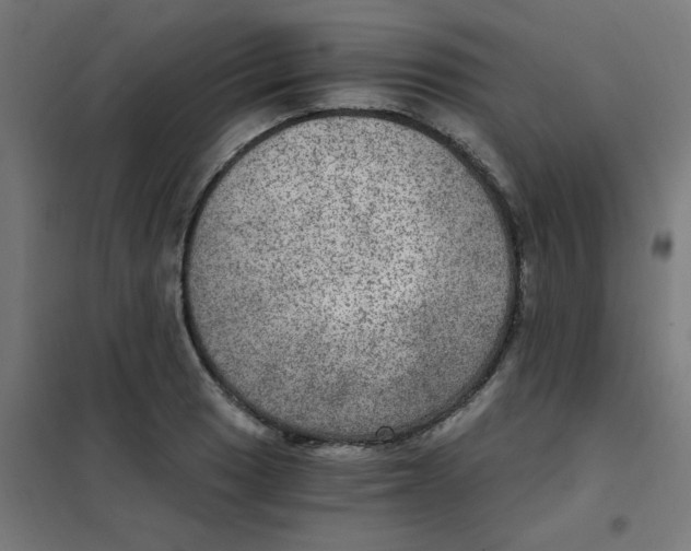 X0000101441033200808041210