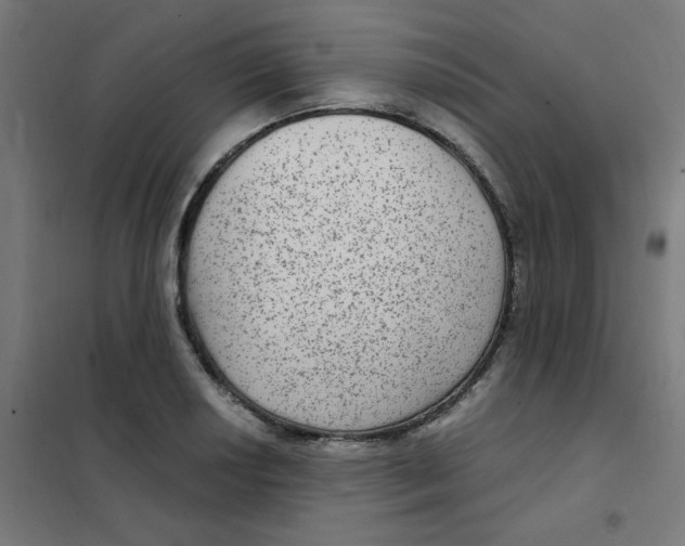 X0000101441034200808041210