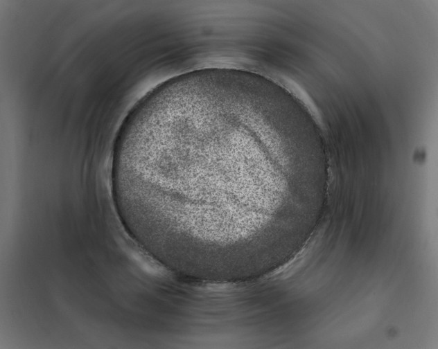 X0000101441035200808041210