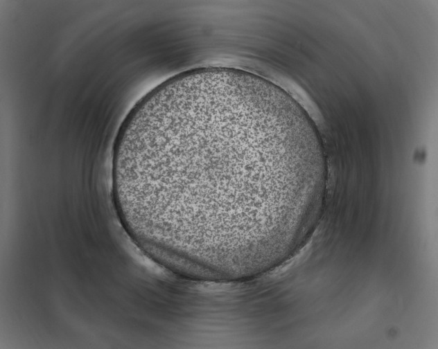 X0000101441036200808041210