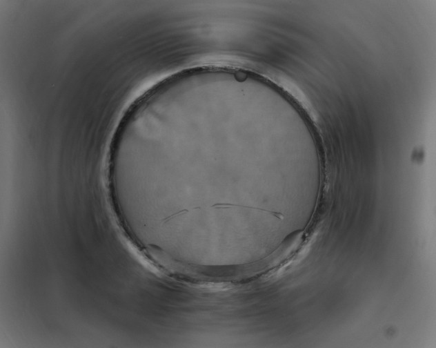 X0000101441037200808041210