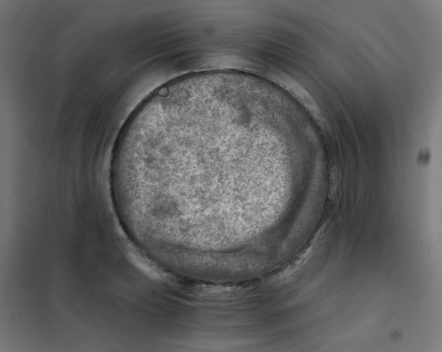 X0000101441039200808041210