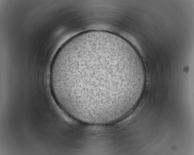X0000101441040200808041210