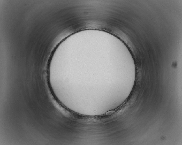 X0000101441042200808041210
