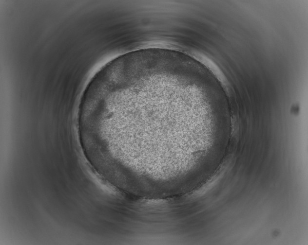 X0000101441043200808041210