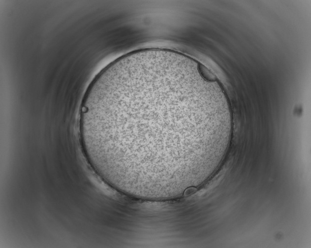 X0000101441044200808041210