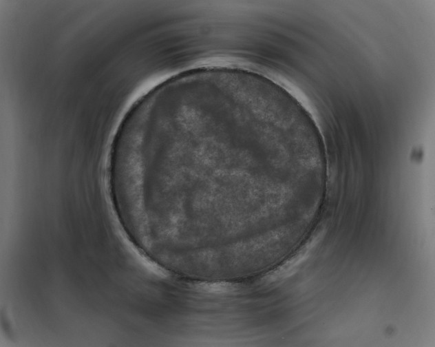 X0000101441045200808041210