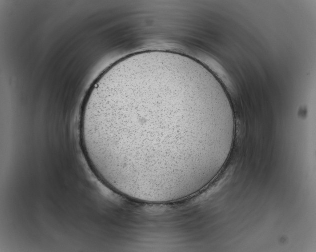 X0000101441046200808041210