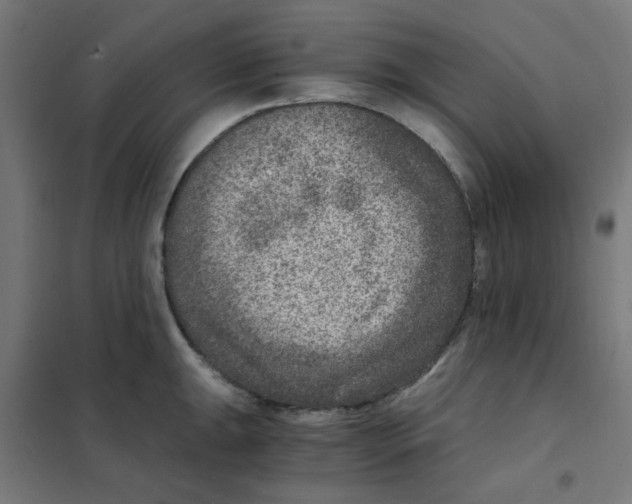 X0000101441047200808041210