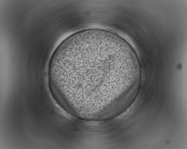 X0000101441048200808041210