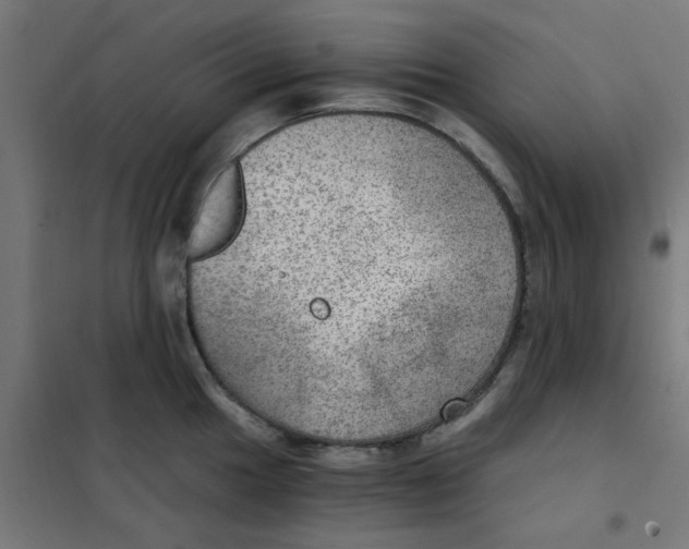 X0000101441049200808041210