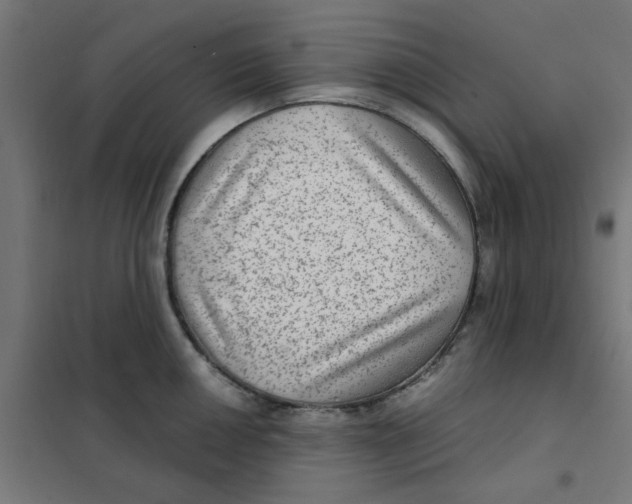 X0000101441050200808041210