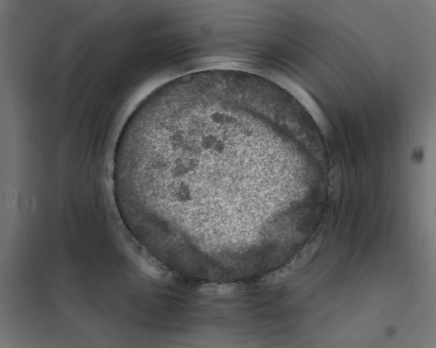 X0000101441051200808041210