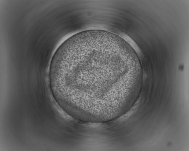 X0000101441052200808041210