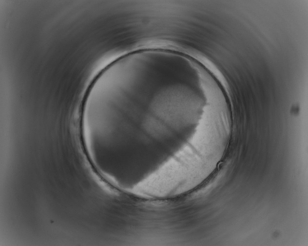 X0000101441053200808041210