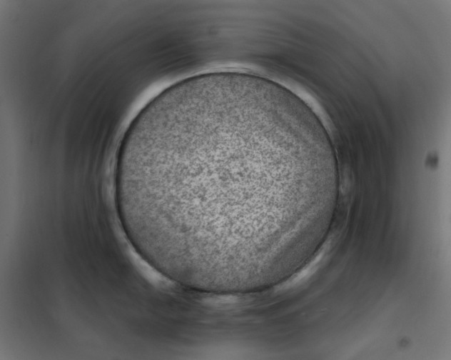 X0000101441054200808041210