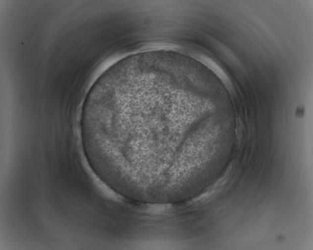 X0000101441055200808041210