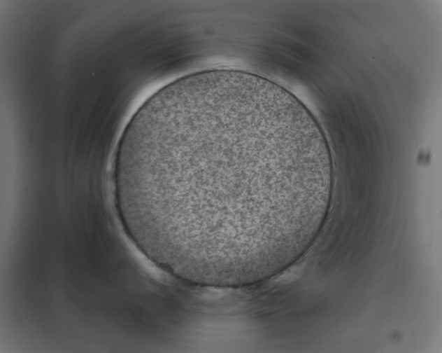 X0000101441056200808041210