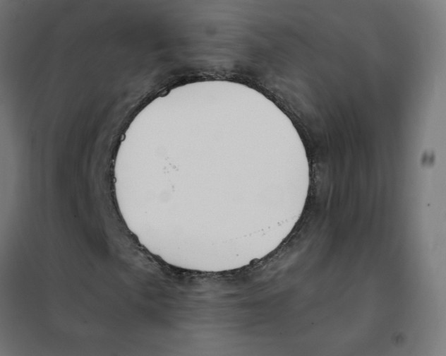 X0000101441057200808041209