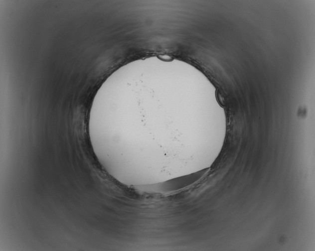 X0000101441058200808041209