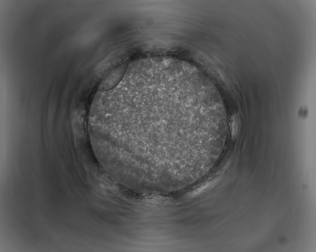 X0000101441059200808041209