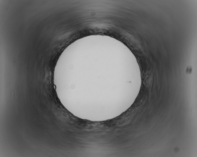 X0000101441061200808041209