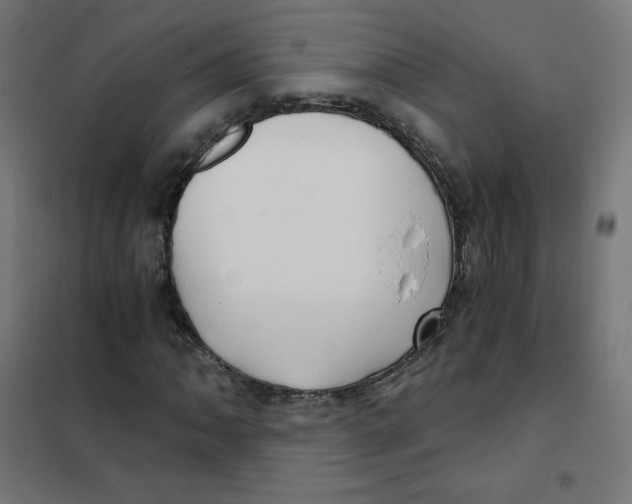 X0000101441062200808041209