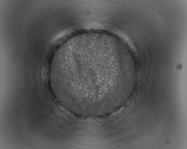 X0000101441063200808041209