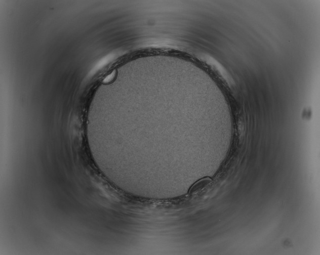 X0000101441064200808041209