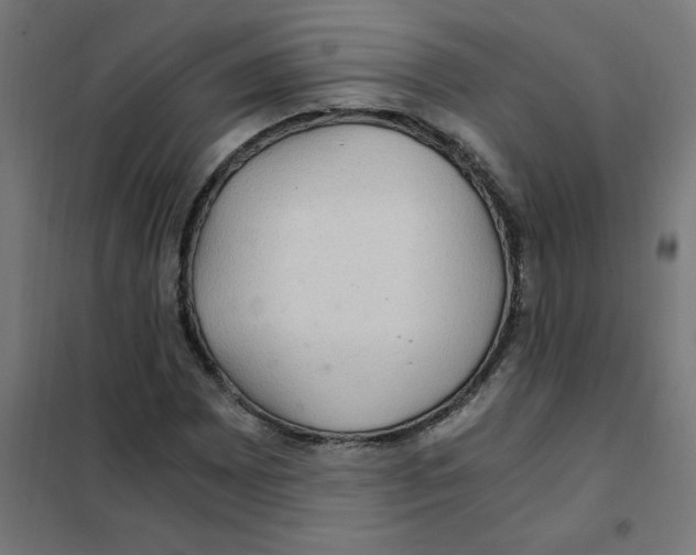 X0000101441065200808041209