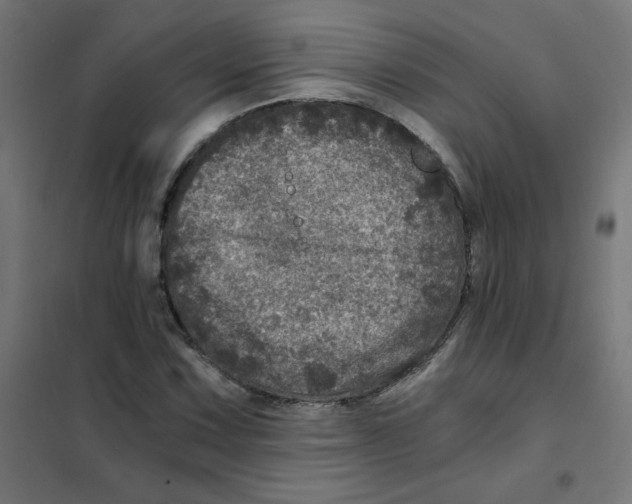 X0000101441067200808041209