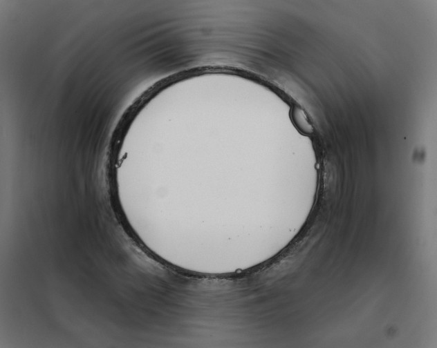 X0000101441068200808041209